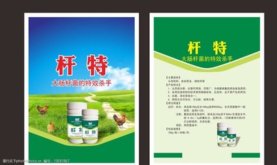 獸藥 保障動物健康的關(guān)鍵